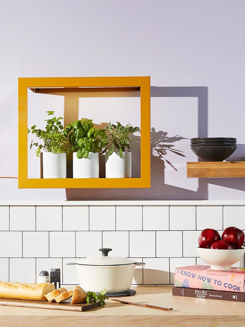 Yes, You Can Grow Fresh Herbs in Your Dimly Lit Kitchen