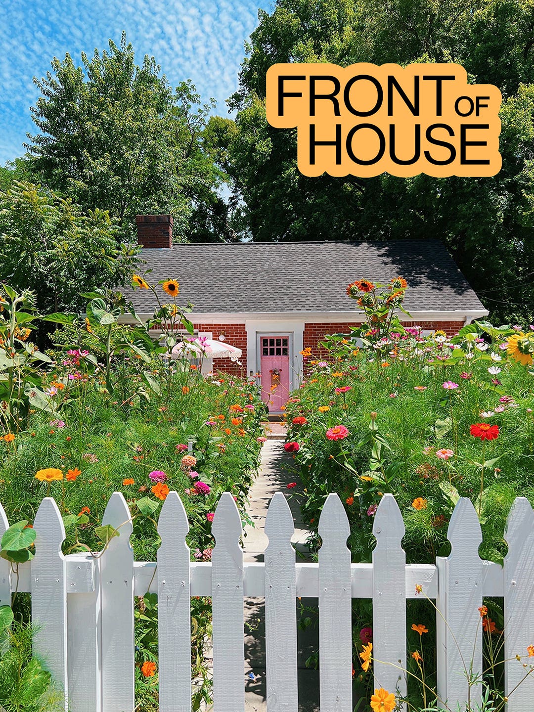 Front of house wildflower garden