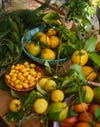 fruit on table
