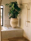 shower next to tub