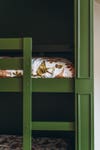 close-up of bunk bed ladder