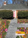 Front yard with a few wildflowers growing