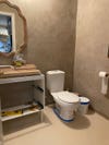 bathroom under construction