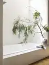 branch next to white sower