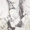 marble tile